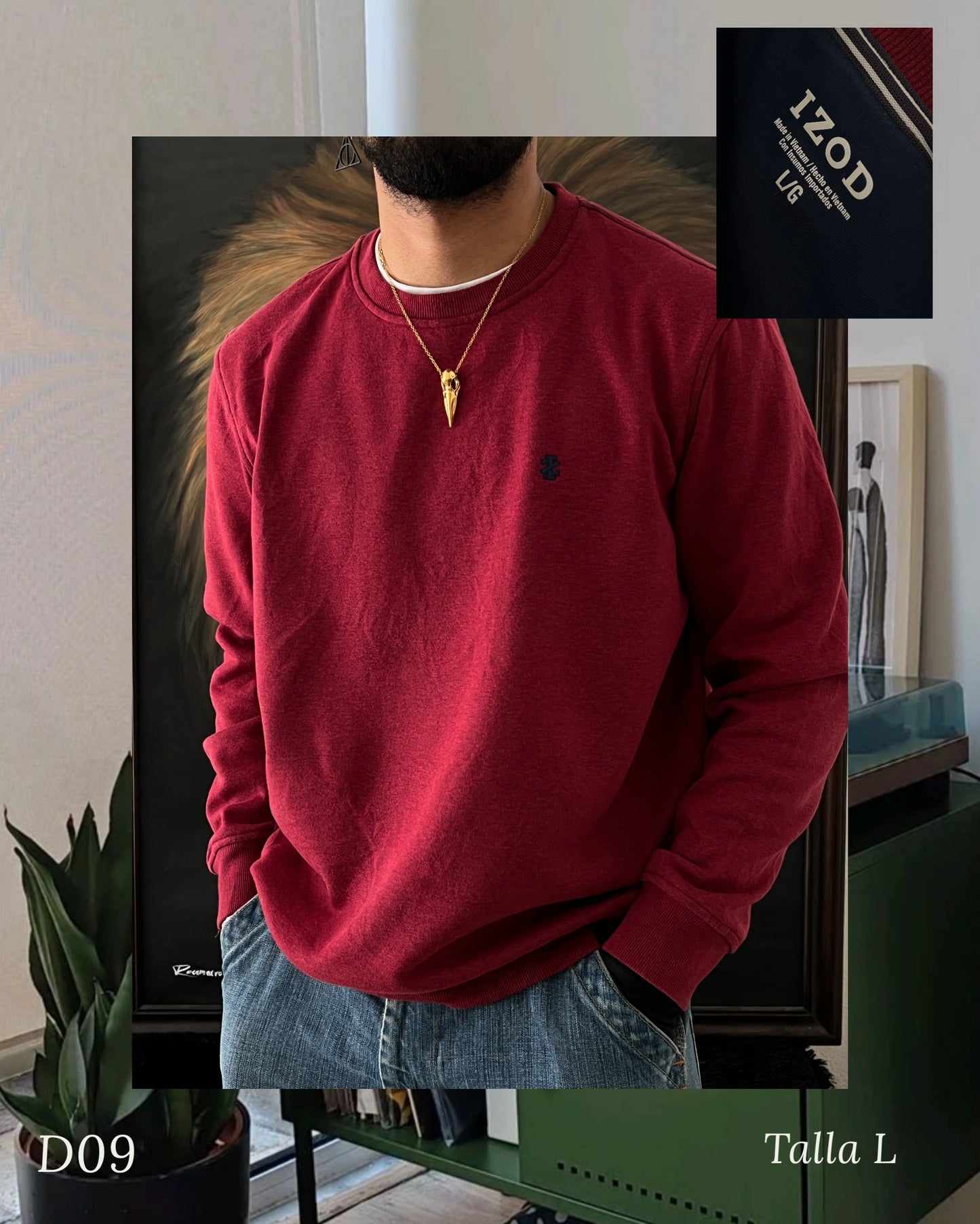 IZOD sweater (L)