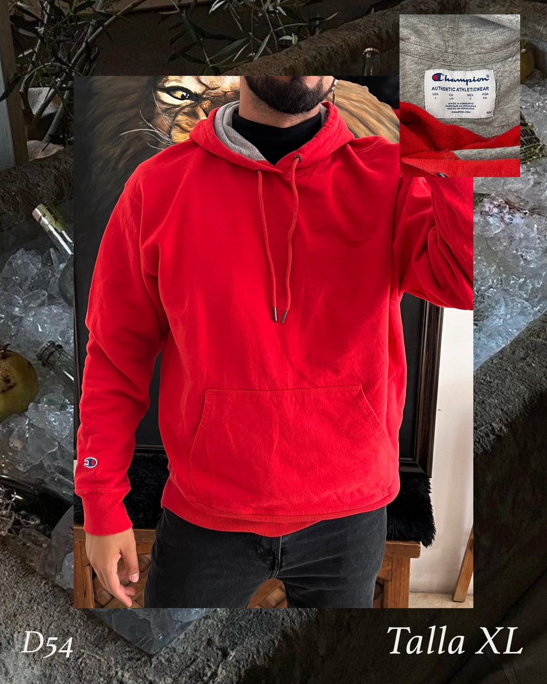 Hoodie Champion (XL)