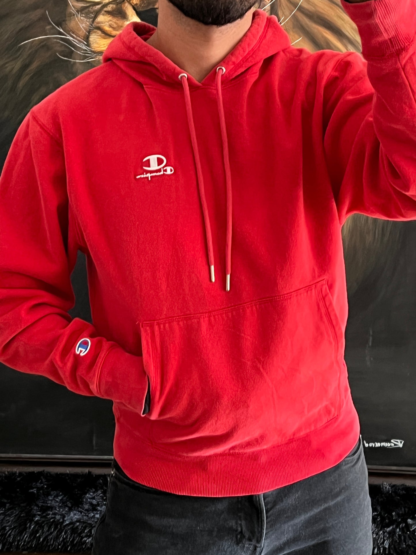 Hoodie Champion (S/M)