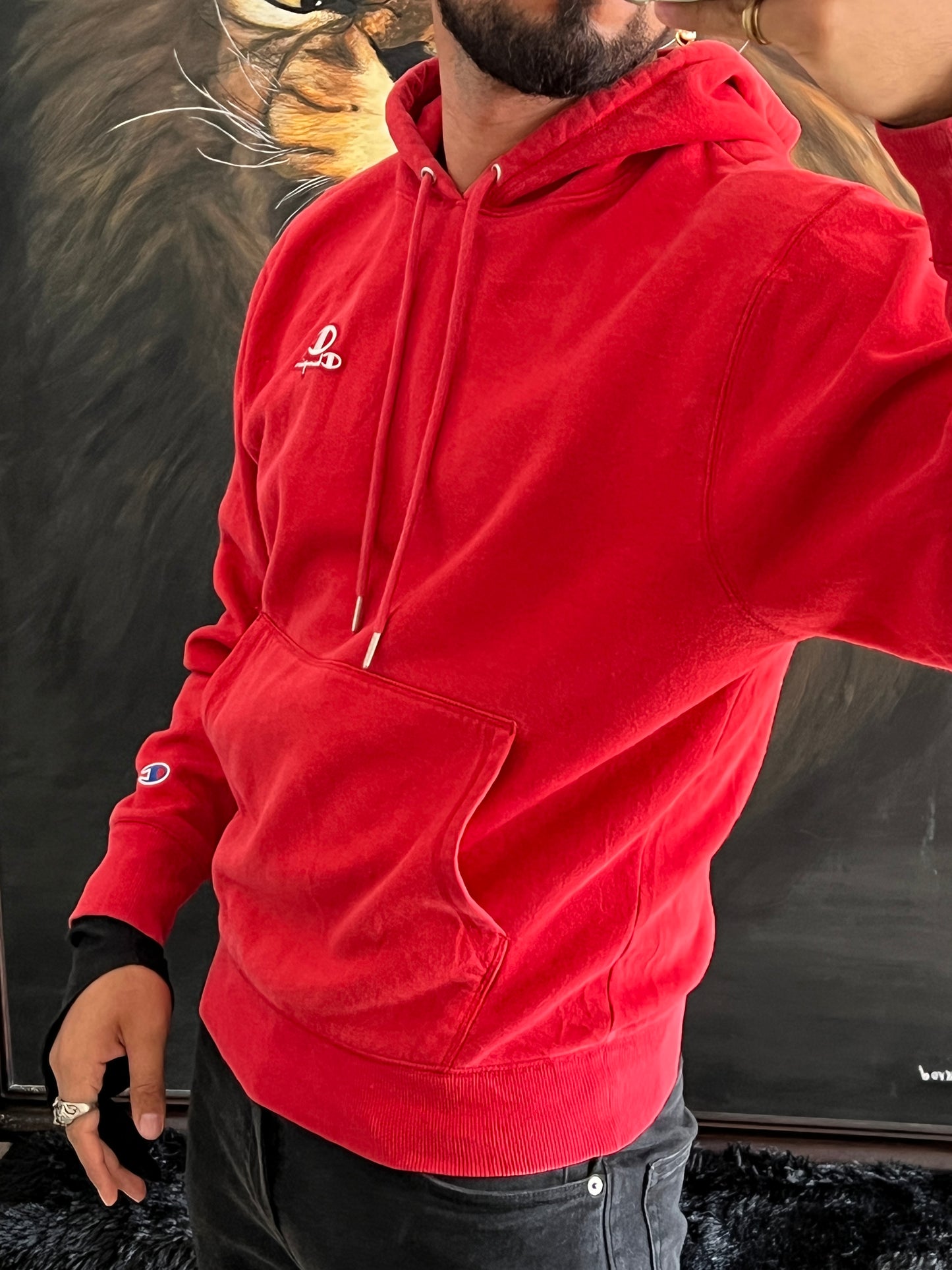 Hoodie Champion (S/M)