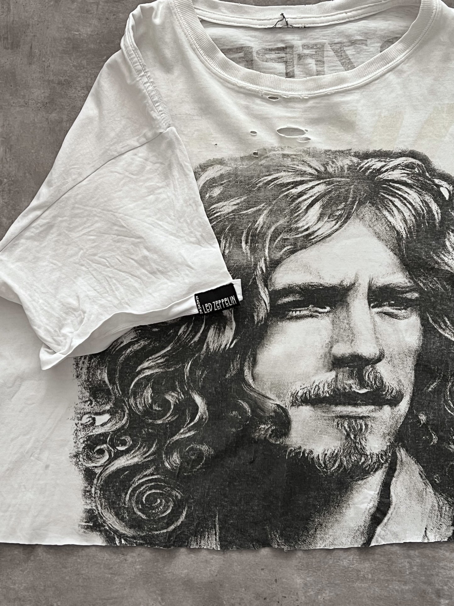 Vintage 70's Led Zepellin Robert Plant Croped (M)