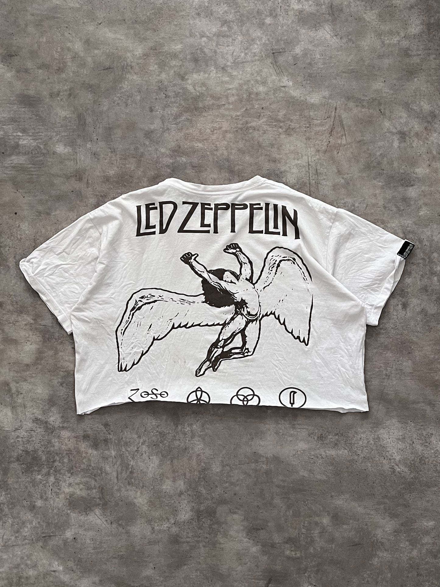 Vintage 70's Led Zepellin Robert Plant Croped (M)