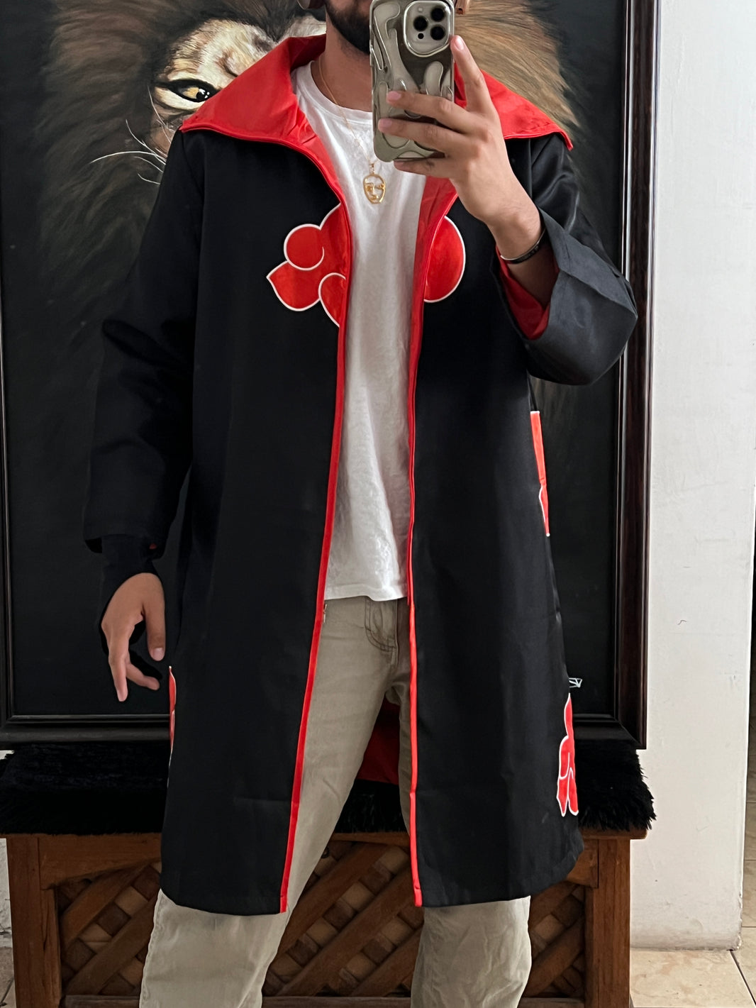 Naruto Capa Ninja (S)