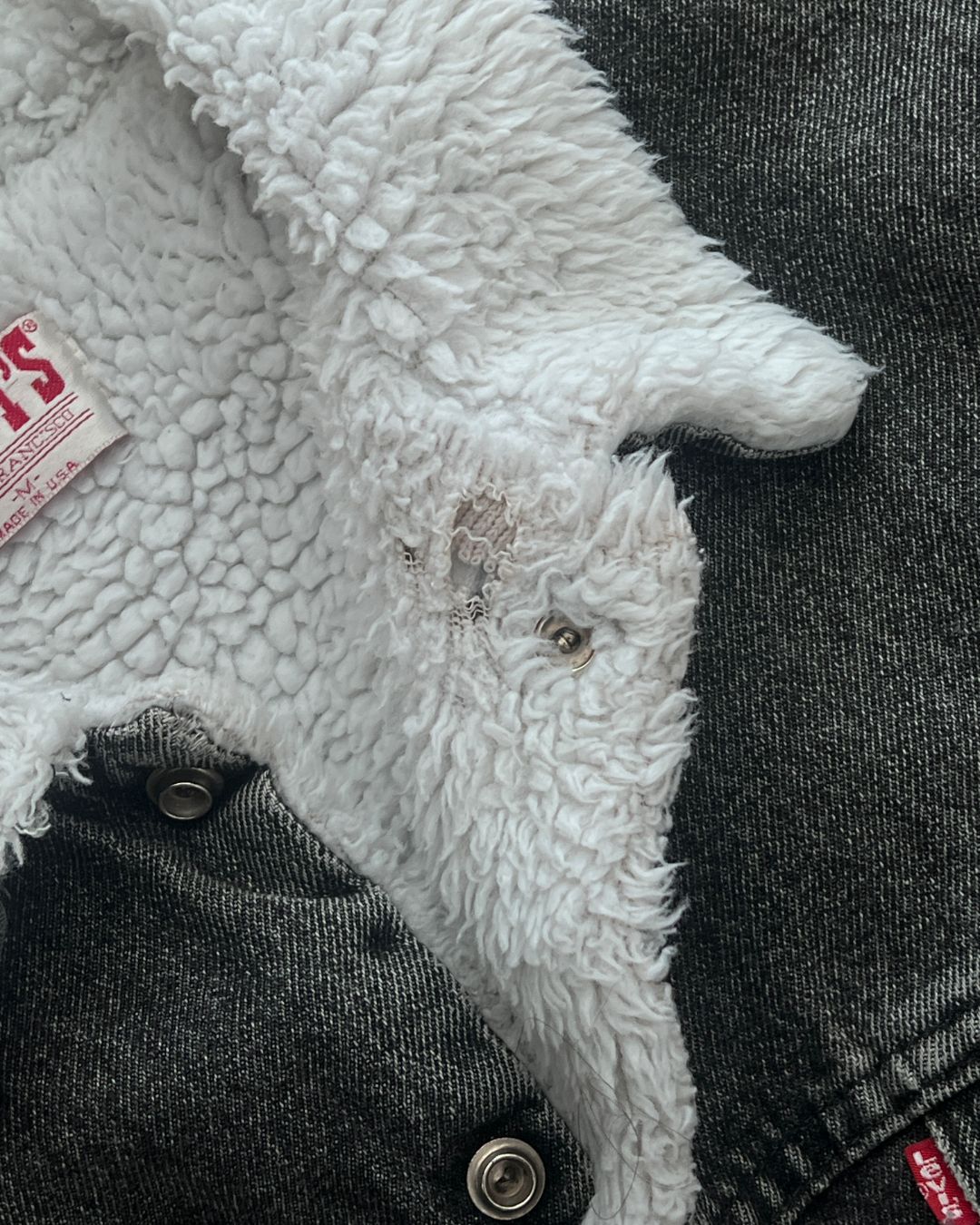 VINTAGE SANTA CRUZ SHERPA JACKET LEVI'S (M)