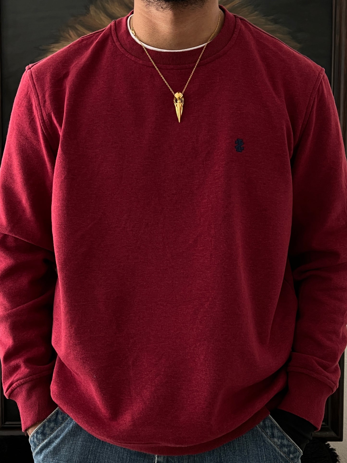 IZOD sweater (L)